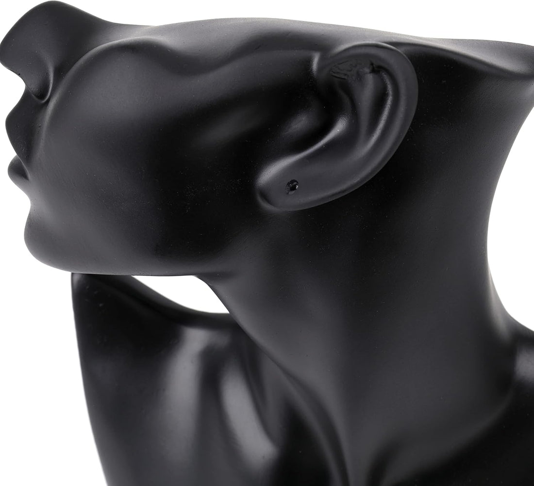 SOUJOY Jewelry Display Stand, Mannequin Earring Stand, Black Resin Pendant, Boutique Bust Holder Organizer for Show Jewelry, Necklace, Earrings, Rings