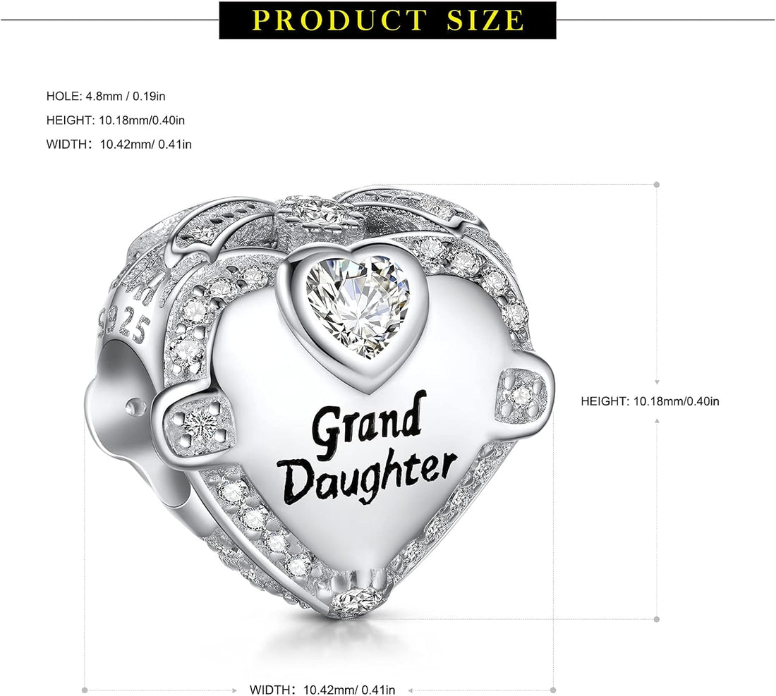 NINGAN Family Charm for Bracelet - Mothers Day & Birthday Gifts for Women 925 Sterling Silver Heart Cubic Zirconia Bead for Necklace